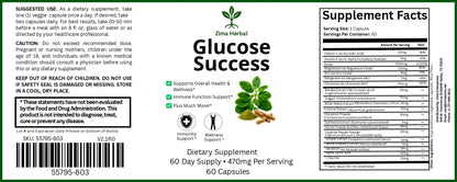 Glucose Success