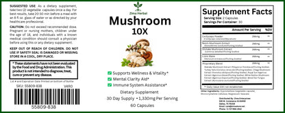 Mushroom 10X